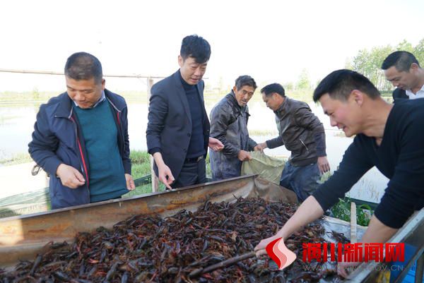 大河网:河南潢川:“虾稻联姻”铺就乡村脱贫路
