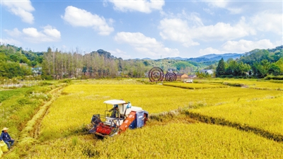 齐心共圆致富梦