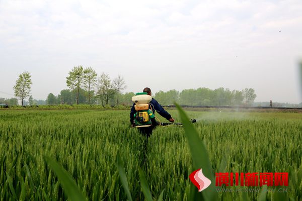 潢川县召开2019年小麦重大病虫害统防统治现场会