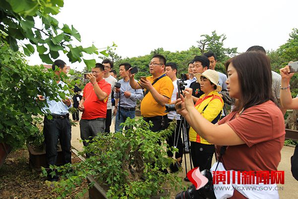 潢川县“全球文旅创作者大会”采风活动圆满完成
