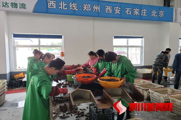 潢川县举行中国虾都小龙虾产业园开园仪式