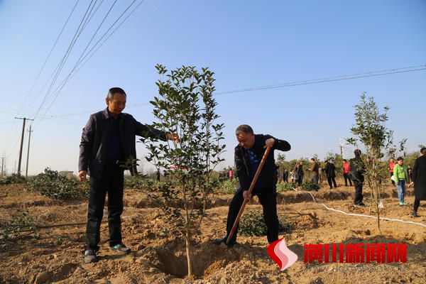 大河网：潢川县开展全民冬季义务植树活动