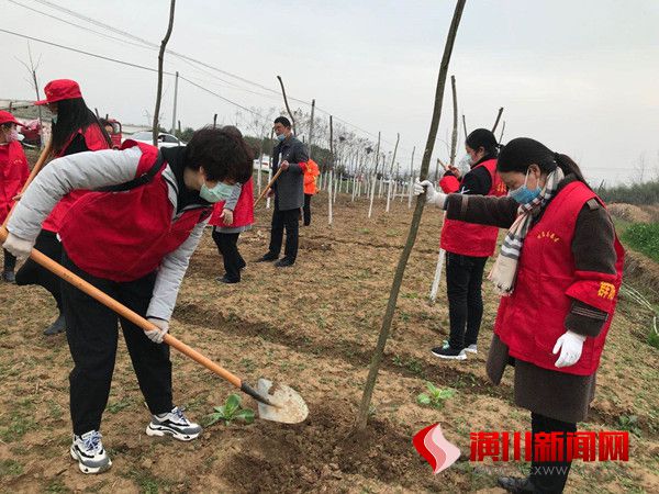 付店镇巾帼植树忙，别样“庆三八”