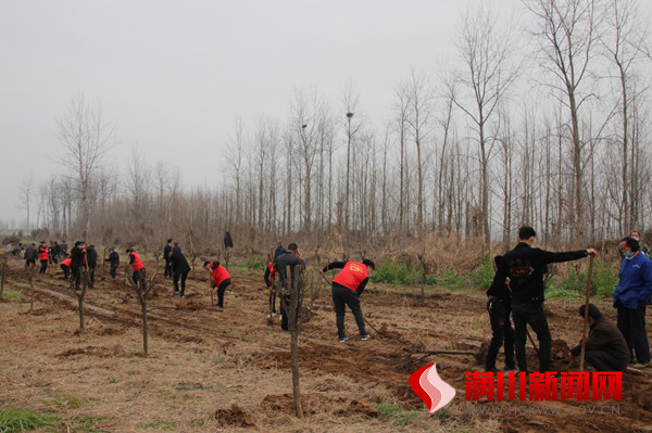 踅孜镇机关干部开展义务植树活动
