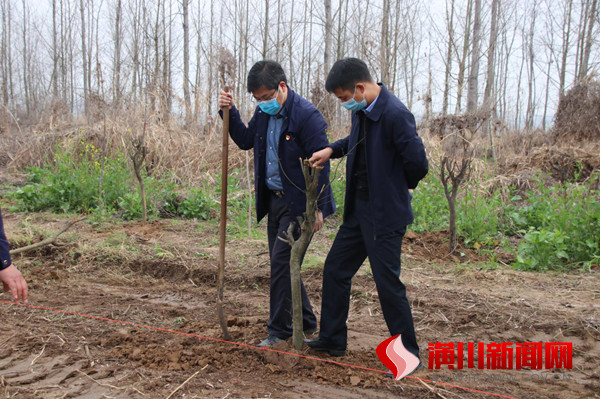 踅孜镇机关干部开展义务植树活动