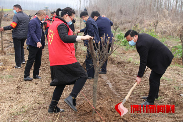 踅孜镇机关干部开展义务植树活动