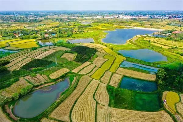 学习强国:河南潢川获批创建全国绿色食品原料标准化生产基地 - 媒体看潢川 - 潢川新闻网 - 潢川县委县政府门户网站